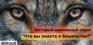Тестовый анонимный опрос 