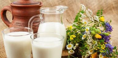 Чем полезно молоко: из чего оно состоит и для кого может быть вредно