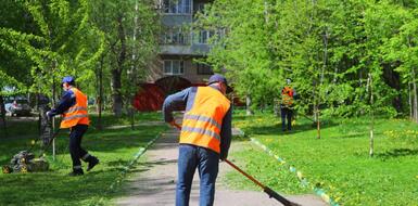 О результатах надзора за санитарным содержанием территорий Стародорожского района