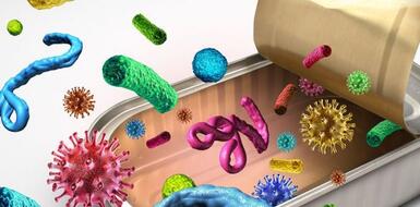 Наиболее значимые санитарно – показательные микроорганизмы в пищевых продуктах