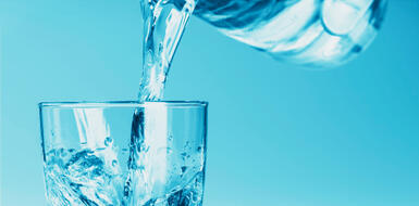 Почему вода так важна для организма?