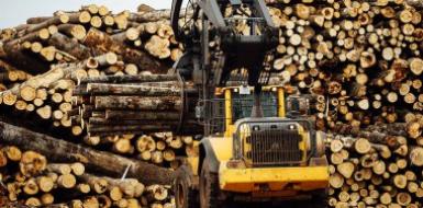 О проведенных надзорных мероприятиях в отношении деревообрабатывающих производств.