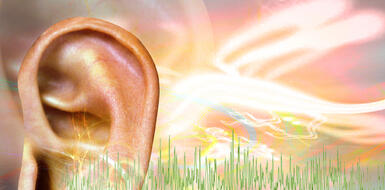 Здоровье уха и слуха