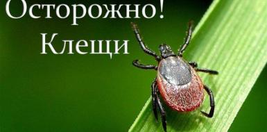 ПРОФИЛАКТИКА КЛЕЩЕВЫХ ИНФЕКЦИЙ