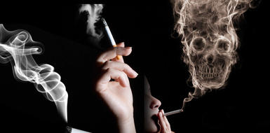 «Табак: угроза окружающей среде»