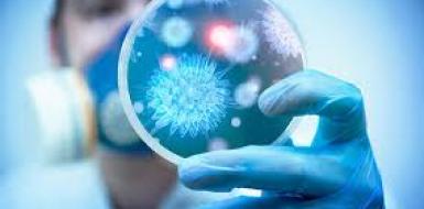 Перечень стран и заболеваний, которые могут представлять чрезвычайную ситуацию в области общественного здравоохранения, имеющую международное значение