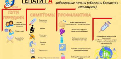 Профилактика вирусного ГЕПАТИТА А