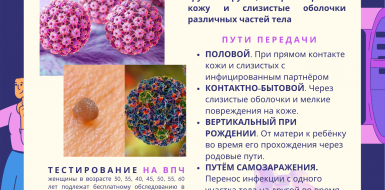 Вирус папилломы человека (ВПЧ)