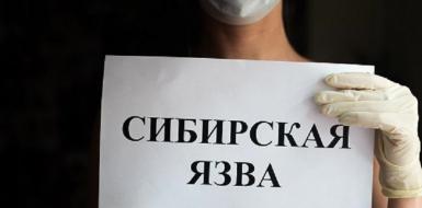 СИБИРСКАЯ ЯЗВА