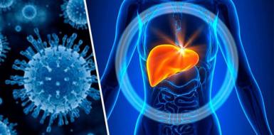 МЕРЫ ПРОФИЛАКТИКИ  ГЕПАТИТА А