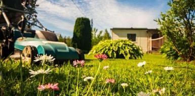 Памятка для граждан о благоустройстве и содержании земельного участка