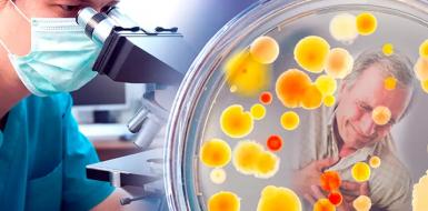 Забытые тропические болезни