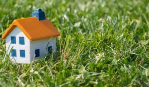 О результатах надзора за санитарным содержанием территорий Стародорожского района