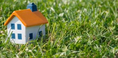 О результатах надзора за санитарным содержанием территорий Стародорожского района