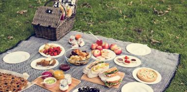 Как подольше сохранить продукты на природе в жару?