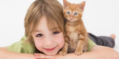 Осторожно! Микроспория!