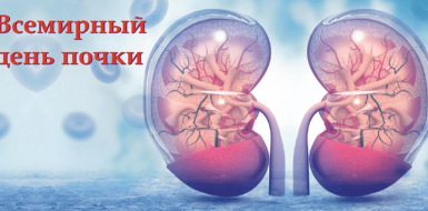 12 марта - Всемирный день почки